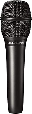 Audio-Technica AT2010