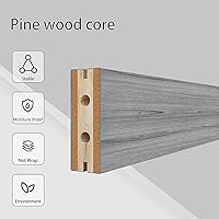 BARNSMITH 36x96 Glass Barn Door — image 2