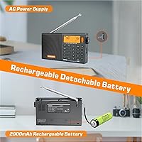 XHDATA D808 Portable Radio — image 5