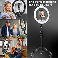 MACTREM 18″ Foldable Ring Light with Stand — image 3