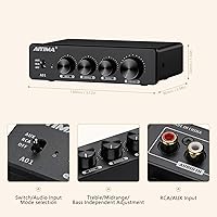 AIYIMA A01 100W + 100W TPA3116 Stereo Amplifier — image 4