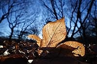 Sony FE PZ 16-35mm F4 G — image 14