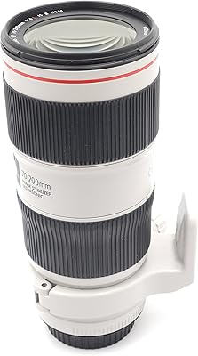 Canon EF 70-200mm f/4L IS II USM Lens