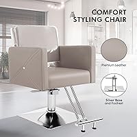 Artist Hand Grey Salon Chair — image 4