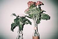 Lomography LomoChrome Metropolis 135 Film - 100 Exposures — image 9