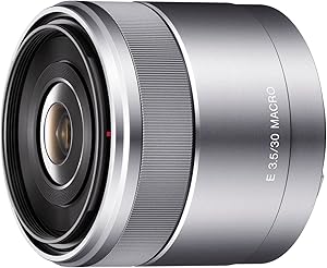 Sony SEL30M35 30mm f/3.5 E-Mount Macro Lens Review