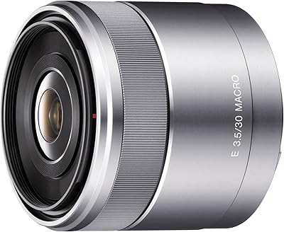 Sony SEL30M35 30mm f/3.5 E-Mount Macro Lens