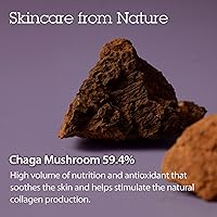 BLITHE Pressed Serum Chaga Mushroom 1.68oz — image 4