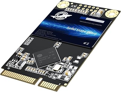 Dogfish mSATA SSD 512GB