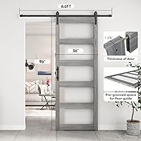 BARNSMITH 36x96 Glass Barn Door — image 6