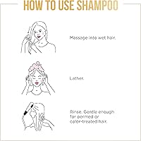 Pantene Sulfate Free Volumizing Shampoo and Conditioner Set, 9.6oz & 8oz — image 3