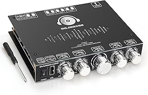 DAJUNGUO S350HS Bluetooth Power Amplifier Review