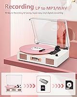DANFI AUDIO DF TE-2017 Vinyl Record Player — image 5