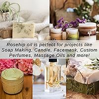 Naturevibe Botanicals Rosehip Oil 32oz — image 5