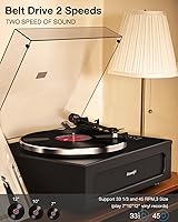 Seasonlife HQ-KZ018 Turntable — image 5