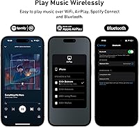 Arylic S10+ AirPlay Audio Receiver — image 3