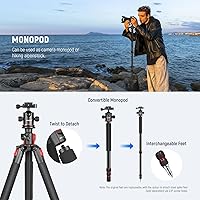 NEEWER 72-inch Camera Tripod Monopod with Ball Head — image 6