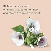 Hairitage Gentle Daily Moisture Shampoo and Conditioner Set - 21oz — image 3