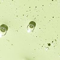 OSEA Hyaluronic Acid Sea Serum 1 oz — image 6