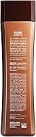 Brazilian Blowout Volume Shampoo 12 Fl Oz — image 3