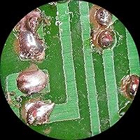 AmScope SW-3T24Z Trinocular Stereo Microscope — image 6