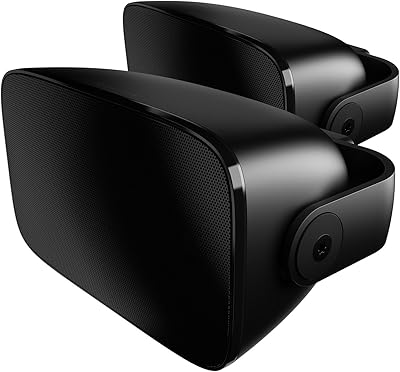 Bowers & Wilkins AM-1 Outdoor Speakers