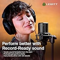 Lewitt LCT 440 Pure Large-Diaphragm Condenser Microphone — image 5