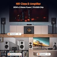 Douk Audio A5 2-Channel TPA3255 Stereo Amplifier — image 2