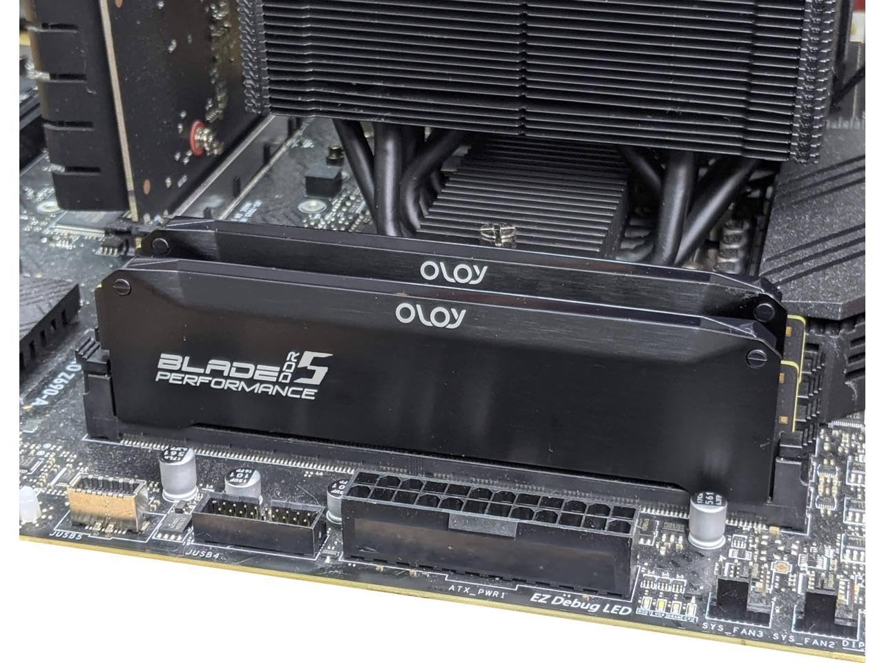 OLOy DDR5 RAM 64GB (2x32GB) ブラック ヘアラインブレード RGB 6000 