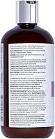 CURLSMITH Core Strength Shampoo 12oz — image 8
