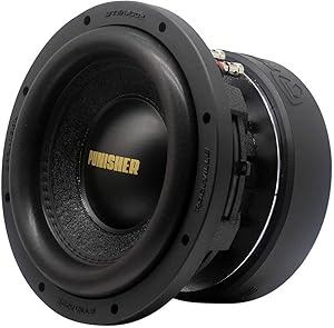 Rockville Punisher 10D2 10″ 5000W Dual 2-Ohm Car Subwoofer Review
