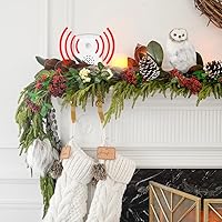 Talking Products PIR Motion Sensor with Voice Recordable Playback — image 8