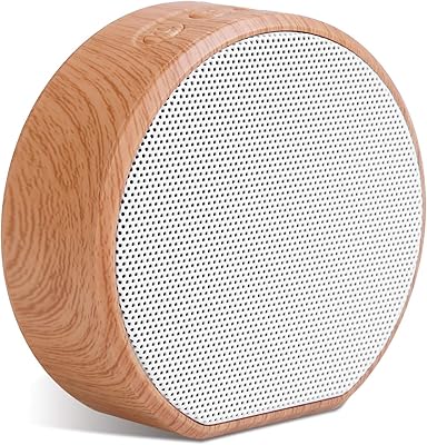 UZiLaCo Wireless Bluetooth Speaker 4.2