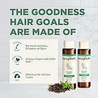 Soapbox Tea Tree Shampoo and Conditioner Set, 1L Each — image 6