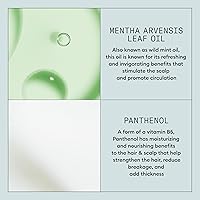 Nioxin Density Defend Styling Mousse 6.7oz — image 6