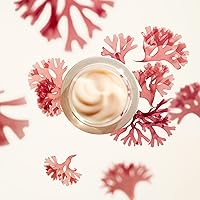 Shiseido Benefiance Wrinkle Smoothing Cream 50mL — image 6