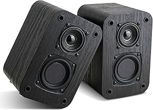 RIOWOIS DS6500M Passive Bookshelf Speakers Review