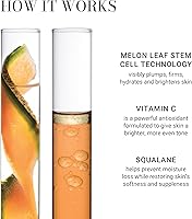 Meaningful Beauty Vitamin C Bi-Phase Brightening Oil 9.17oz — image 4
