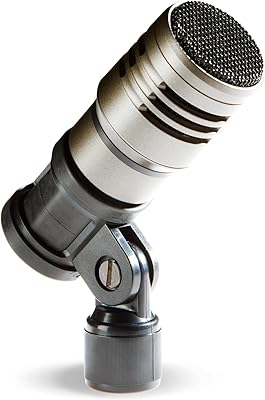 CAD Audio TSM411 Dynamic Microphone