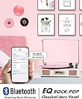 DANFI AUDIO DF TE-2017 Vinyl Record Player — image 2