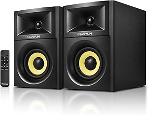 Sanyun SW205 Bookshelf Speakers Review