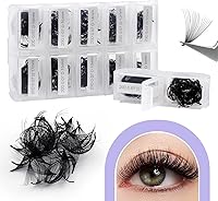 WENDY Lashes Premade Fans Eyelash Extensions 1200PCS 20D 0.07mm D Curl Mixed 9-20mm — image 7