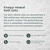 Kneipp Joint & Muscle Mineral Bath Salt with Arnica 17.6 oz — image 5