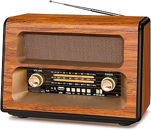 PRUNUS J-199 Vintage Bluetooth Radio Review