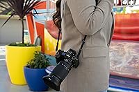 Nikon NIKKOR Z 28-400mm f/4-8 VR Mirrorless Lens — image 8