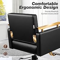 Baasha Black and Gold Salon Chair — image 8