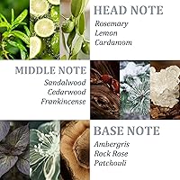 Tgideas Organic Biotin & Rosemary Hair Growth Shampoo – 16oz — image 7