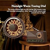 Audiocrazy Vintage Wooden AM FM Bluetooth Radio — image 6