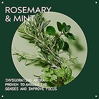 Aveda Rosemary Mint Purifying Shampoo 10oz — image 3