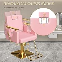 LUXMARS Heavy Duty Barber Chair, Pink — image 8